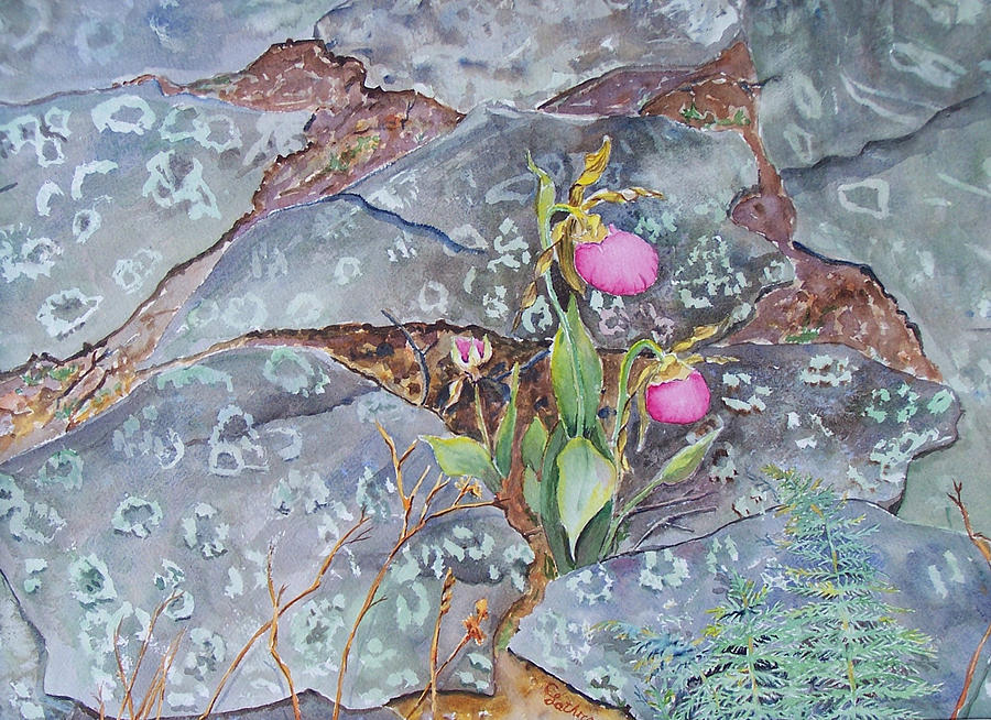 Pink Ladyslippers Painting by Christine Lathrop
