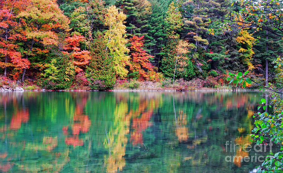 Pink Lake Fall Color Reflections Photograph by Charline Xia