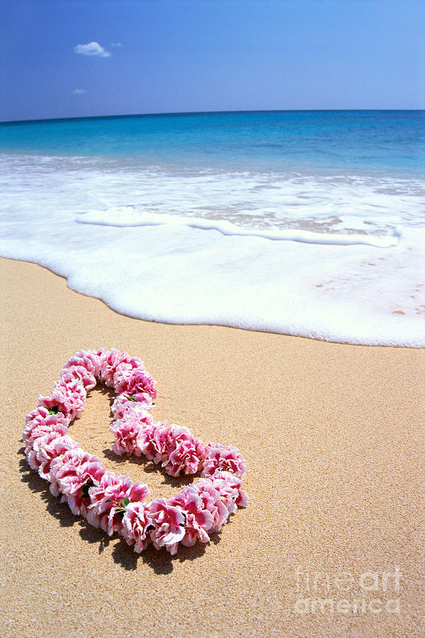 Beach Photograph - Pink Lei on beach by Bill Brennan - Printscapes