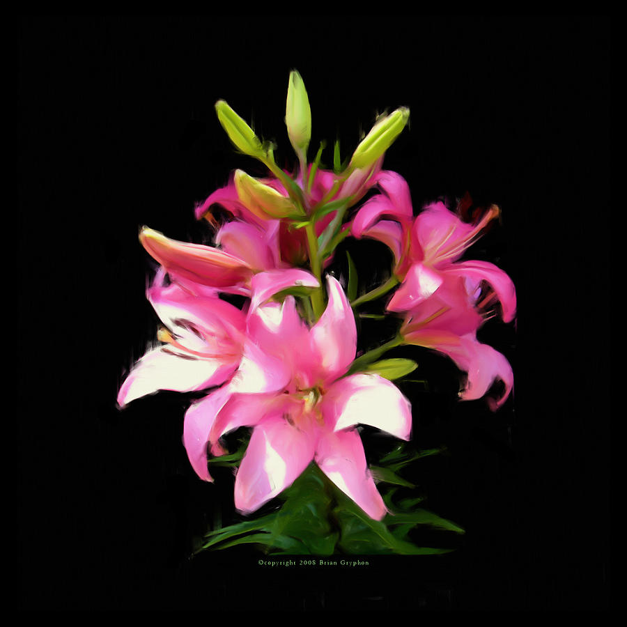 Pink Lilies 22103g Digital Art by Brian Gryphon