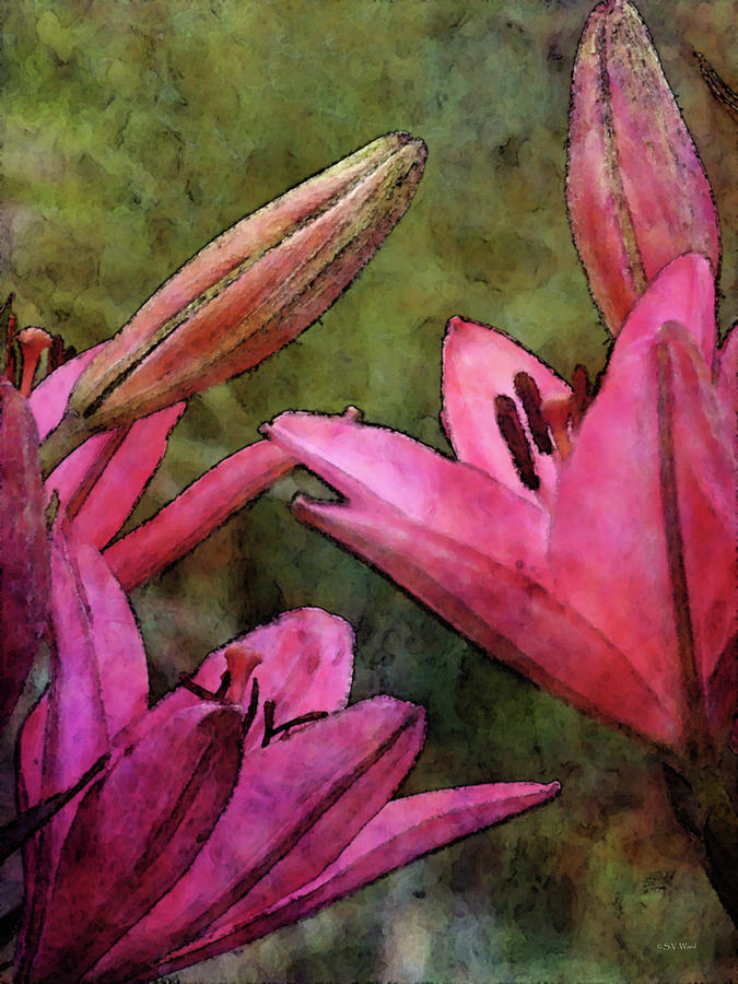Pink Lilies and Buds 1753 IDP_2 Photograph by Steven Ward