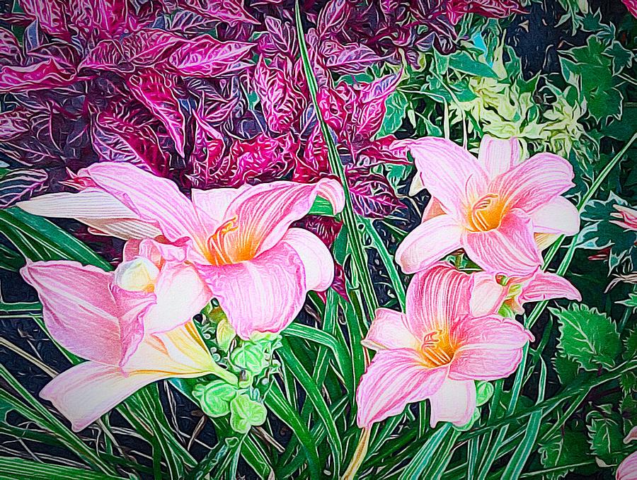 Pink Lilies Digital Art by Anne Sands