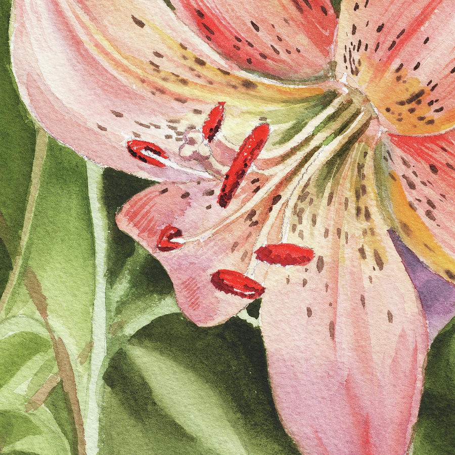 Pink Lily Close Up Painting by Irina Sztukowski