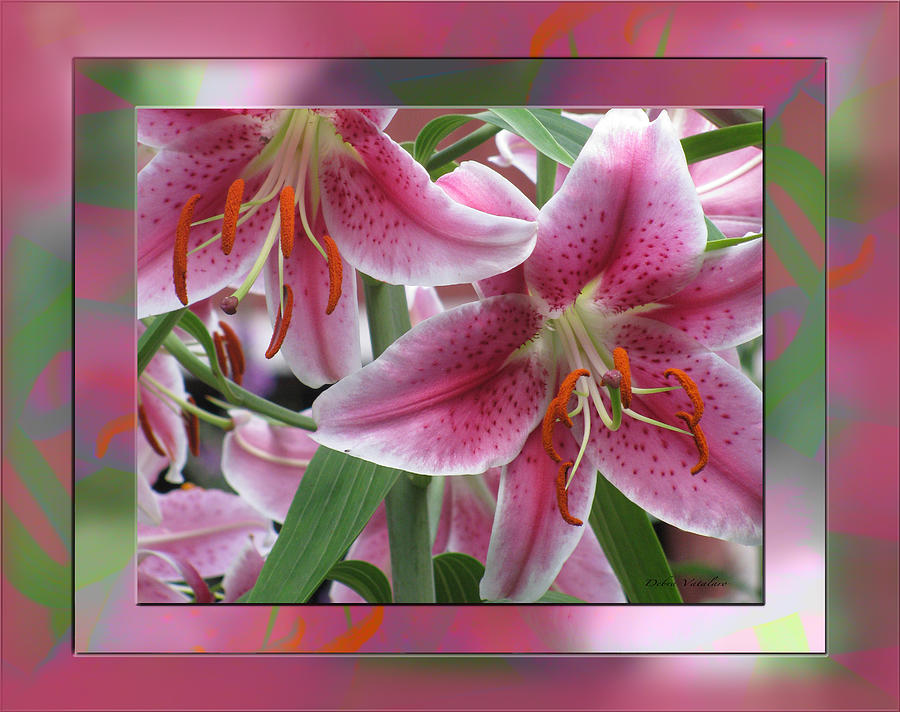 Pink Lily Design Photograph by Debra     Vatalaro