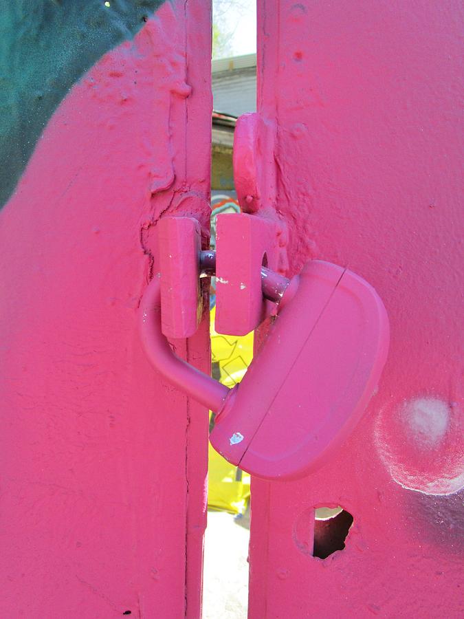 Pink locks Photograph by Rosita Larsson
