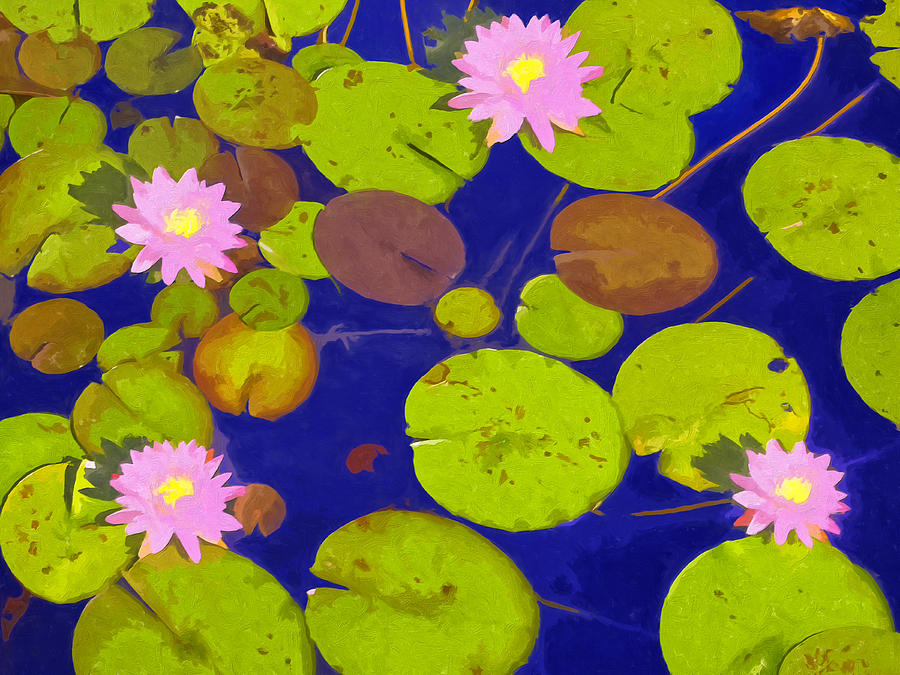 Flower Painting - Pink Lotus Blossoms by Dominic Piperata