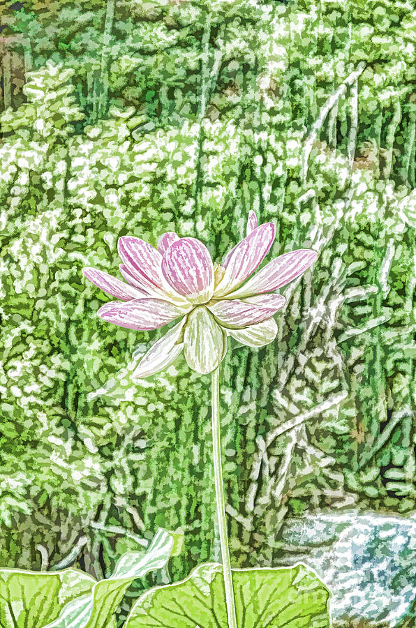 Pink Lotus flower  8 Painting by Jeelan Clark