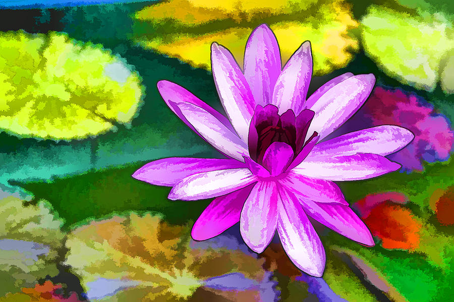 Lily Painting - Pink Lotus Gallery  by Jeelan Clark