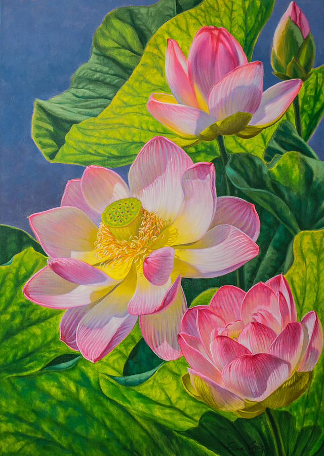 Nature Painting - Pink Lotuses by Fiona Craig