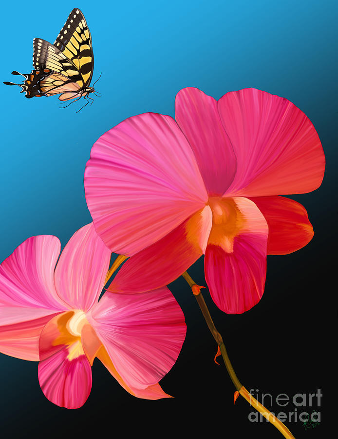 Pink Lux Butterfly Painting by Rand Herron
