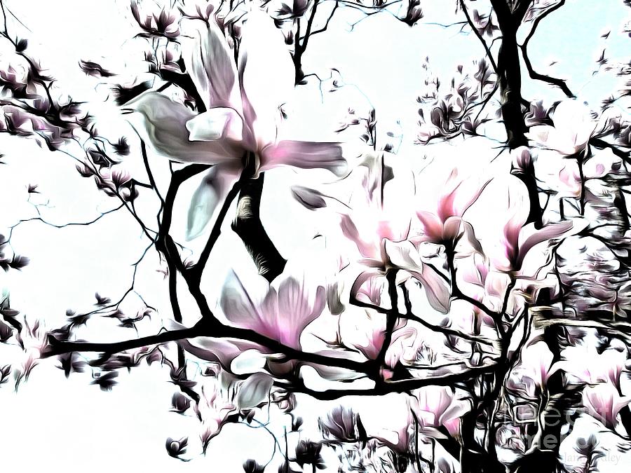 Pink Magnolia - In Black and White  Photograph by Janine Riley