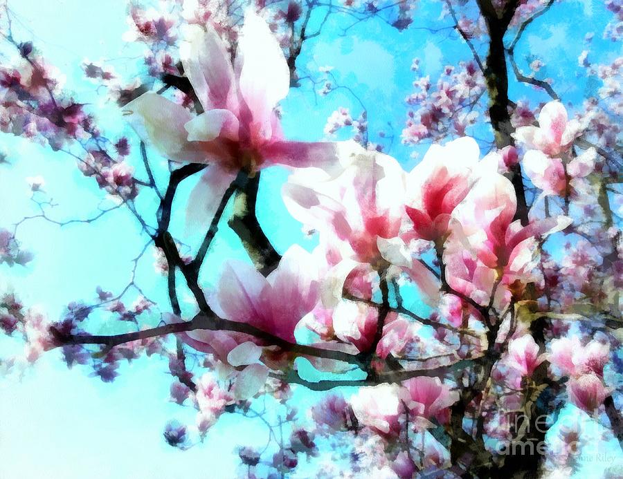 Pink Magnolia Photograph by Janine Riley