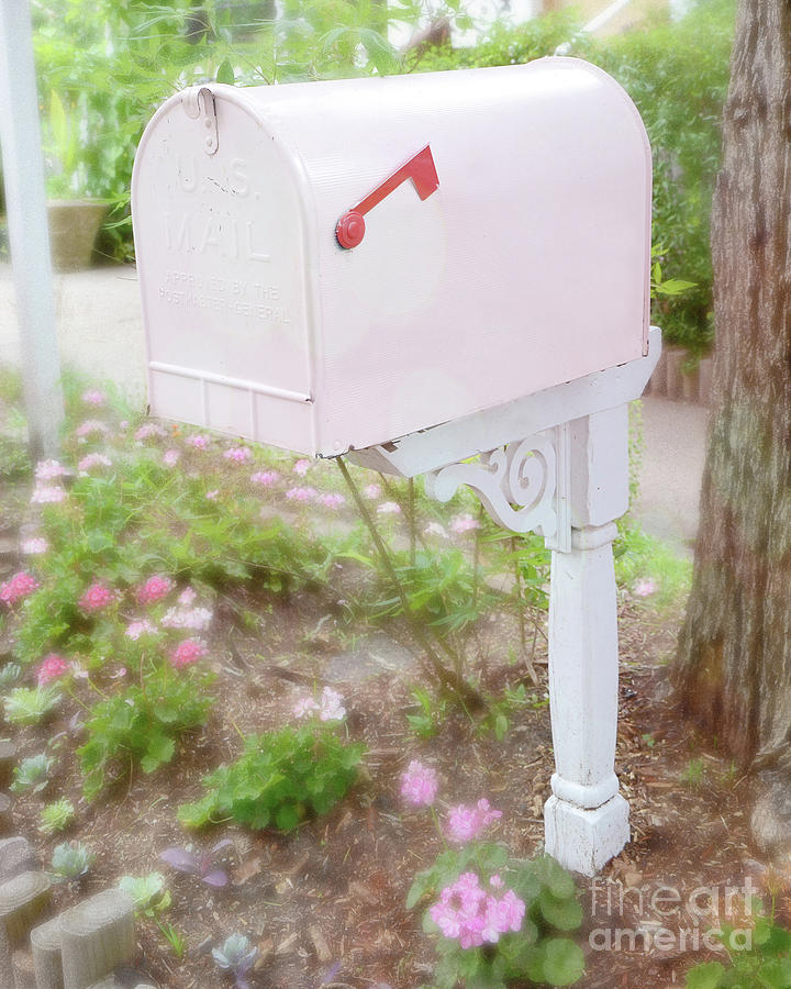 Pink Mailbox Shabby Chic Cottage Pink White Mailbox - Romantic Pink Mailbox Photograph by Kathy Fornal
