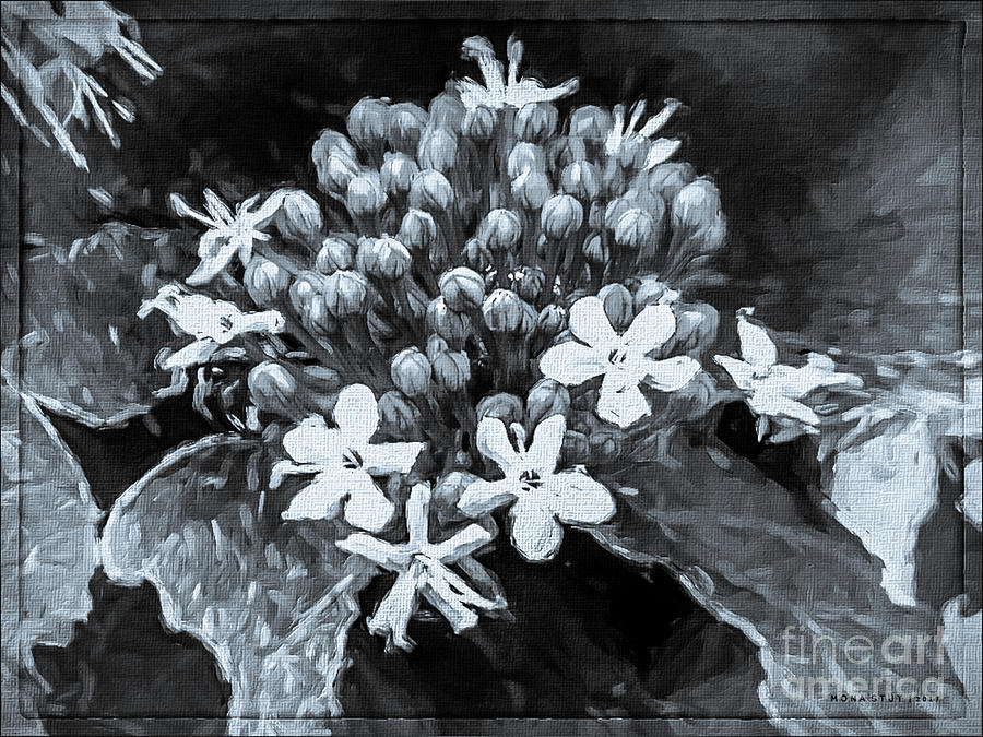 Pink Soft Memories BW Mixed Media by Mona Stut