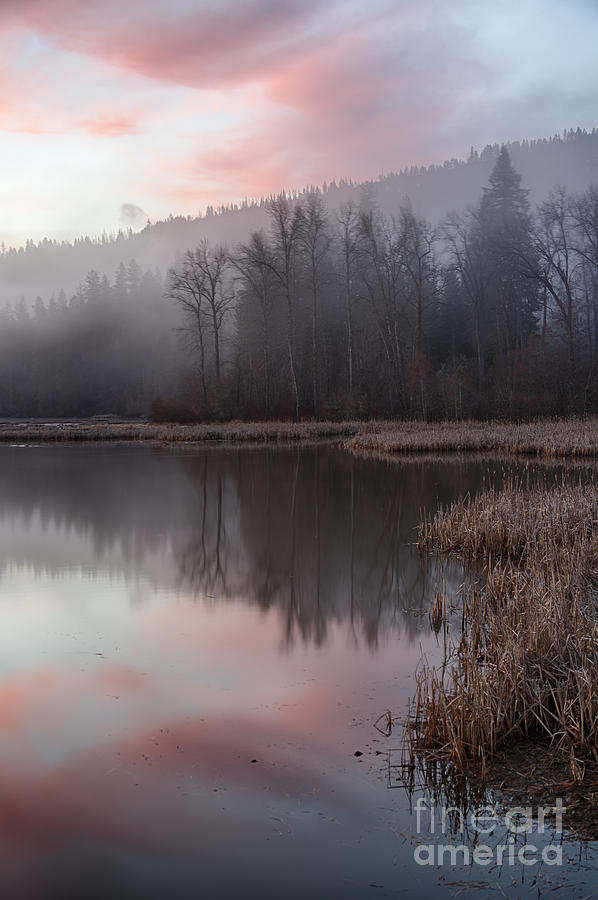Pink Mists Photograph by Idaho Scenic Images Linda Lantzy