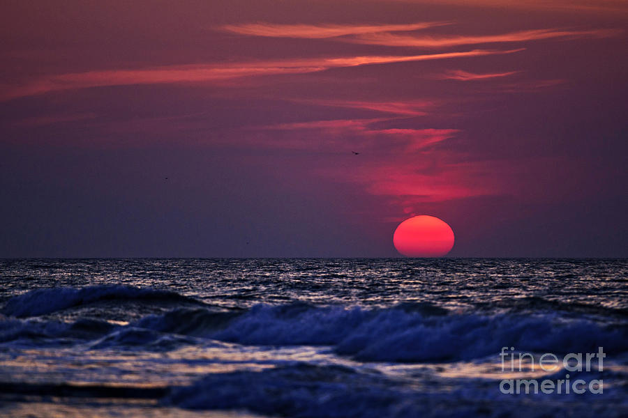Pink Sun Photograph by DJA Images
