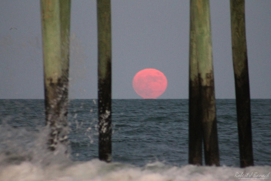 Pink Moon Rising Photograph by Robert Banach