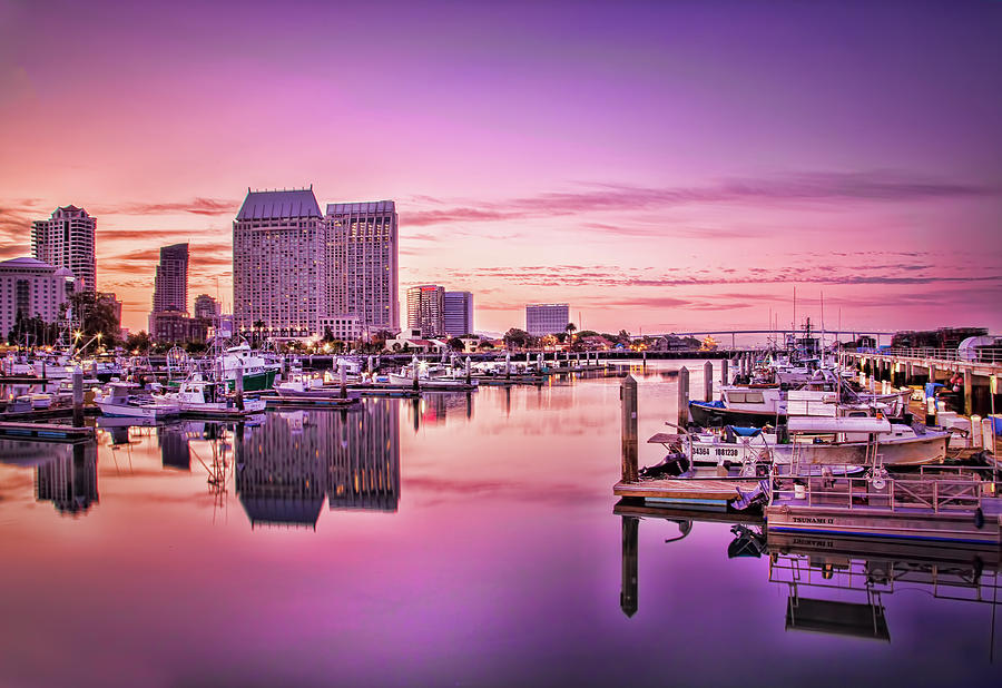 Pink Morning San Diego Photograph by JoAnn Silva