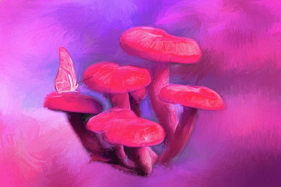 Pink Mushrooms Photograph by Darren Fisher