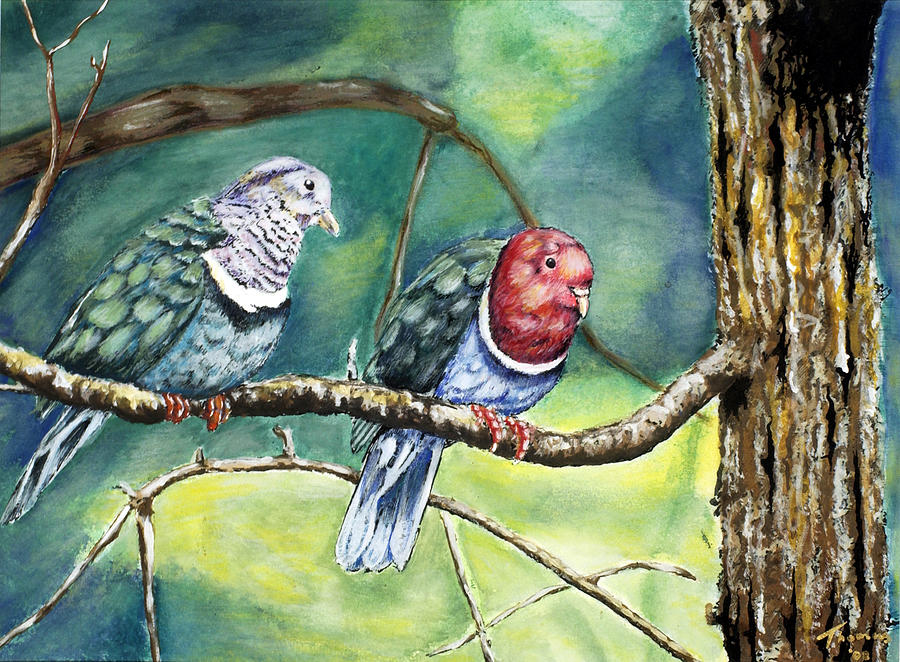 Pink Neck Fruit Doves Painting by Thomas Hamm