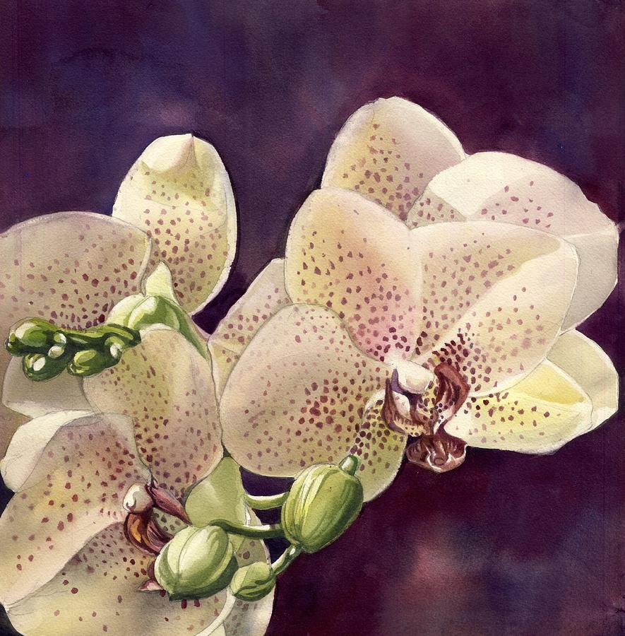Pink Orchid Painting by Alfred Ng