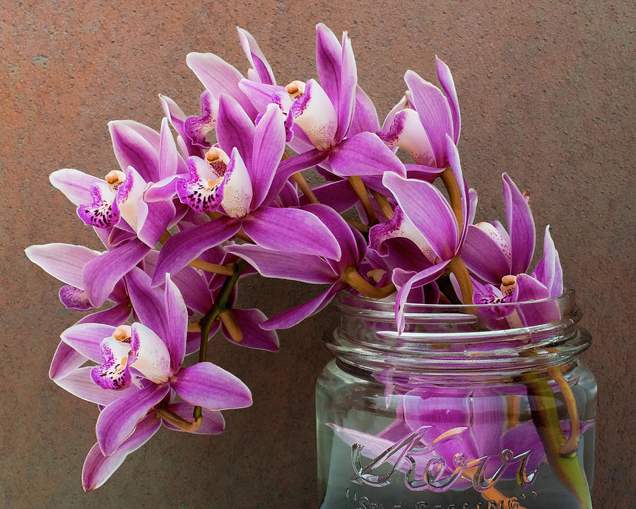 Pink Orchid Sandstone Antique Mason Jar Photograph by Kathy Anselmo