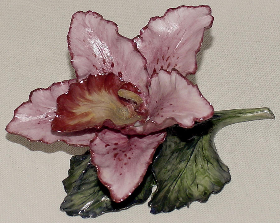 Pink Orchid Ceramic Art by Shirley Heyn