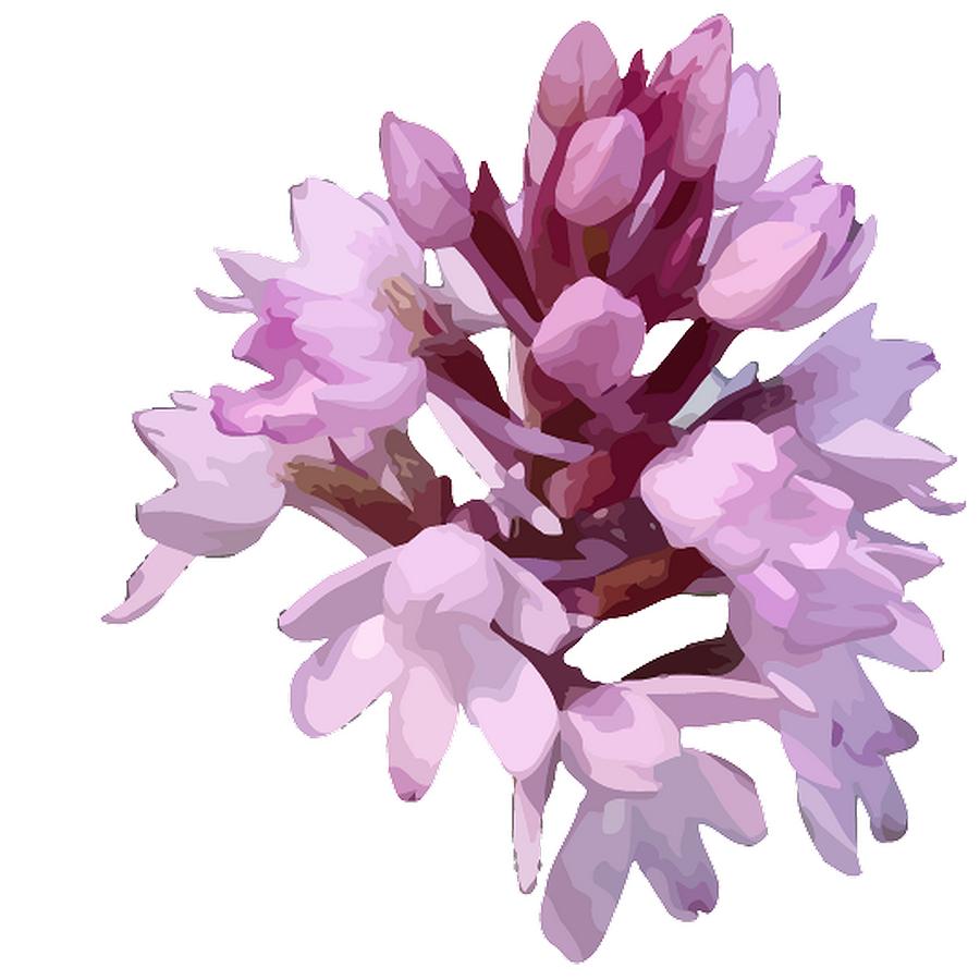 Pink Orchid Wildflower Digital Art by Taiche Acrylic Art