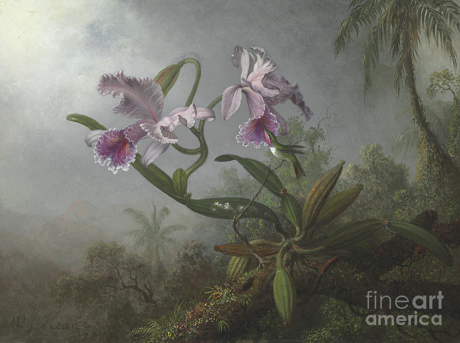 Hummingbird Painting - Pink orchids and hummingbird on a twig, 1875 by Martin Johnson Heade by Martin Johnson Heade