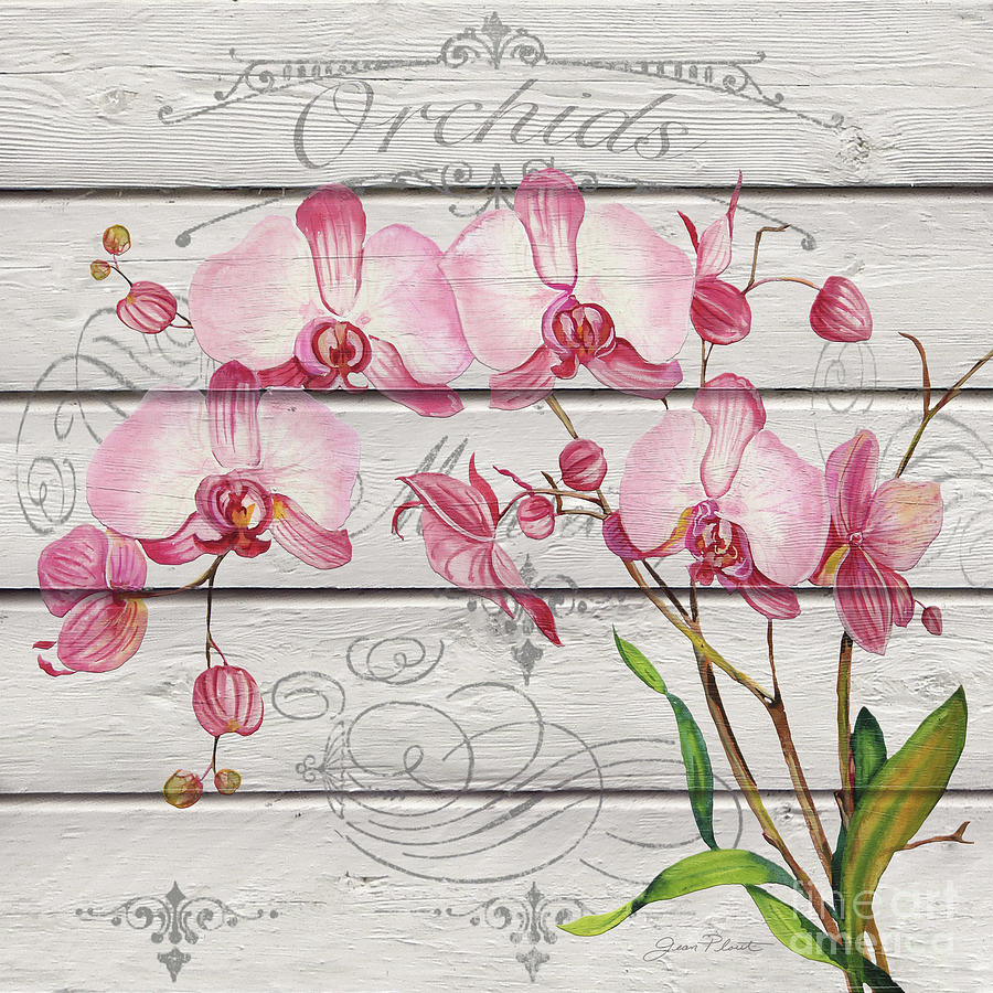 Pink Orchids-JP3925 Painting by Jean Plout