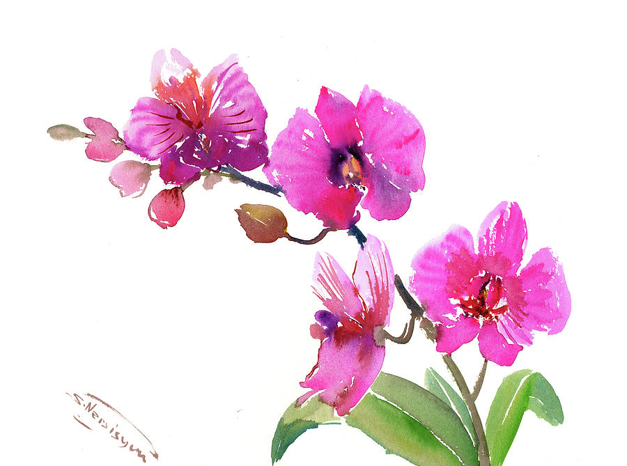 Pink Orchids Painting by Suren Nersisyan