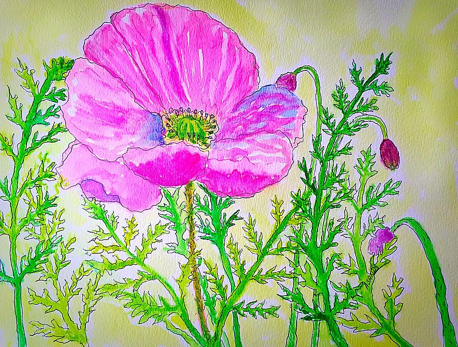 Pink Oriental Poppy Painting by Anne Sands