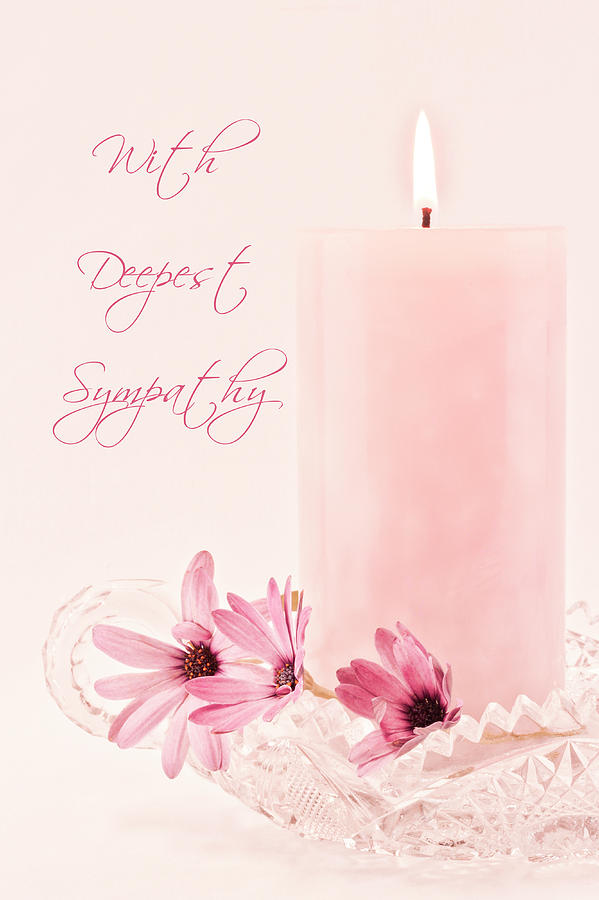Pink Osteospernum Flowers - Sympathy Card Photograph by Sandra Foster