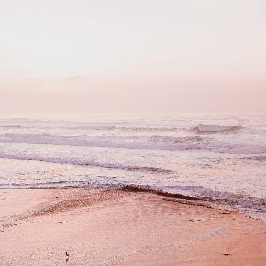 Pink Pacific Beach Photograph by Bonnie Bruno