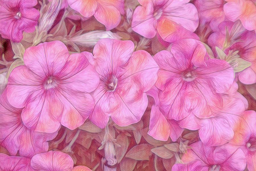 Pink Painted Petunias Painting by Renette Coachman