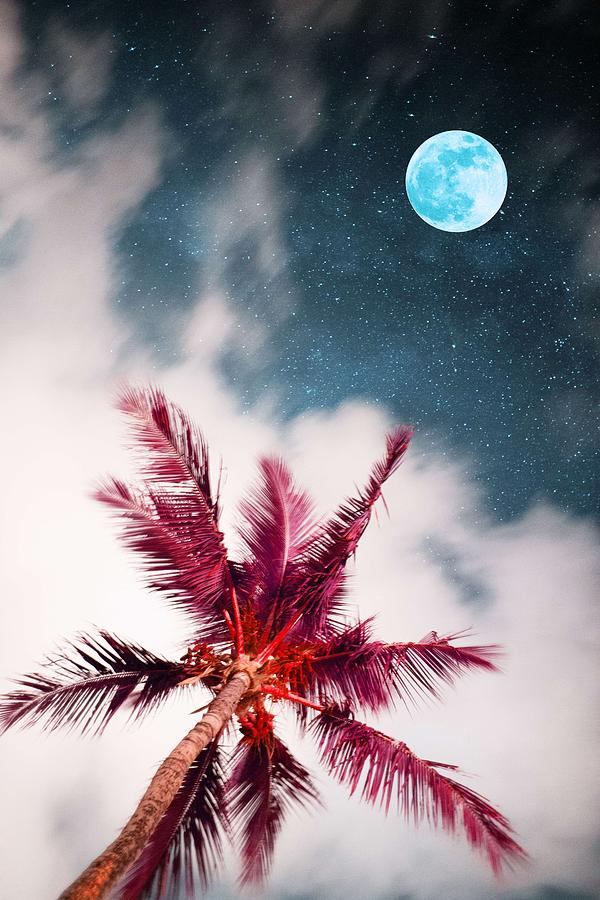 Pink Palm and full moon Painting by Celestial Images