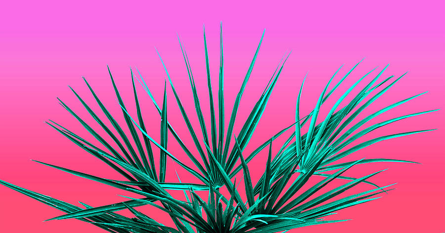 Pink Palm Life - Miami Vaporwave Photograph by Jennifer Walsh