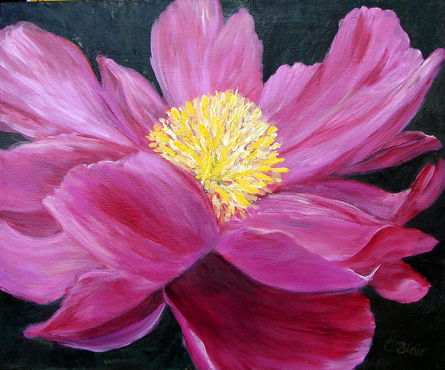 Pink Passion Painting by Cynthia Blair