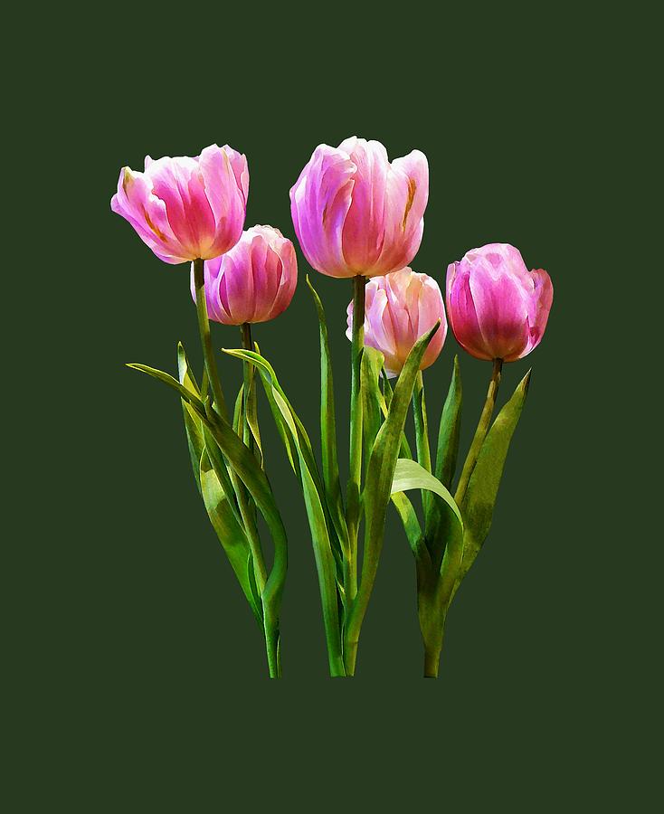 Spring Photograph - Pink Pastel Tulips by Susan Savad