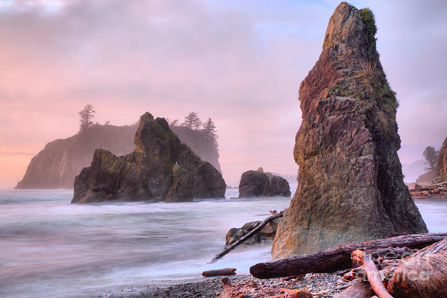 Pink Pastels At Ruby Beach Photograph by Adam Jewell