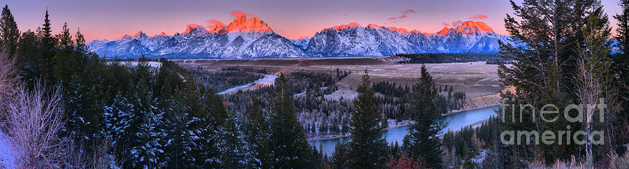 Pink Peaks And Purple Skies Through The Pines Photograph by Adam Jewell