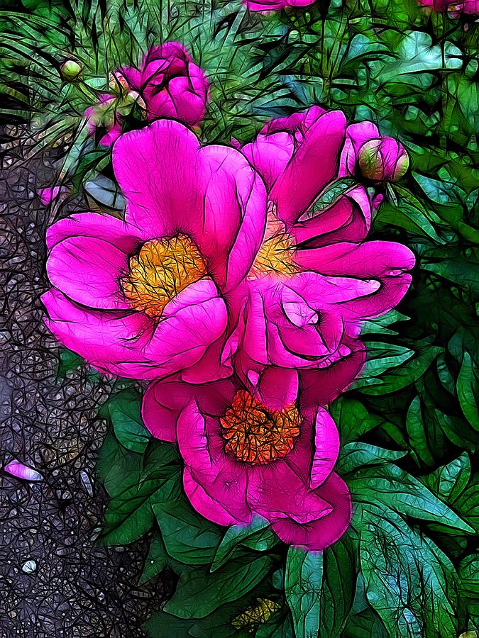 Flower Photograph - Pink Peonies by Nick Heap