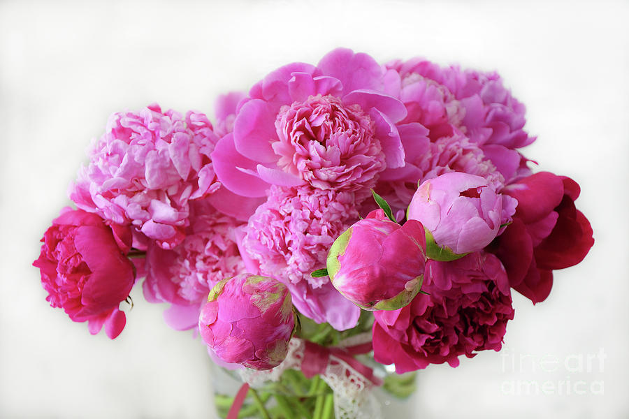 Pink Peonies Red Peonies Floral Bouquet - Romantic Pink Red Cottage Peonies  Photograph by Kathy Fornal