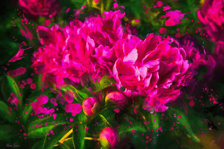 Pink Peonies Splatter Photograph by Anna Louise