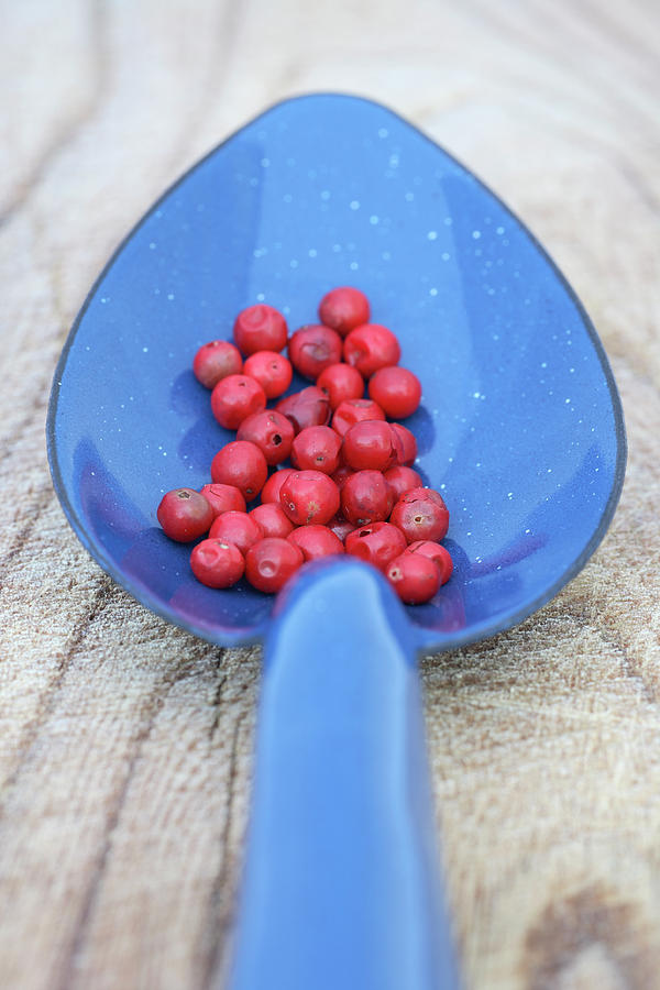 Pink Pepper In Blue Spoon Photograph