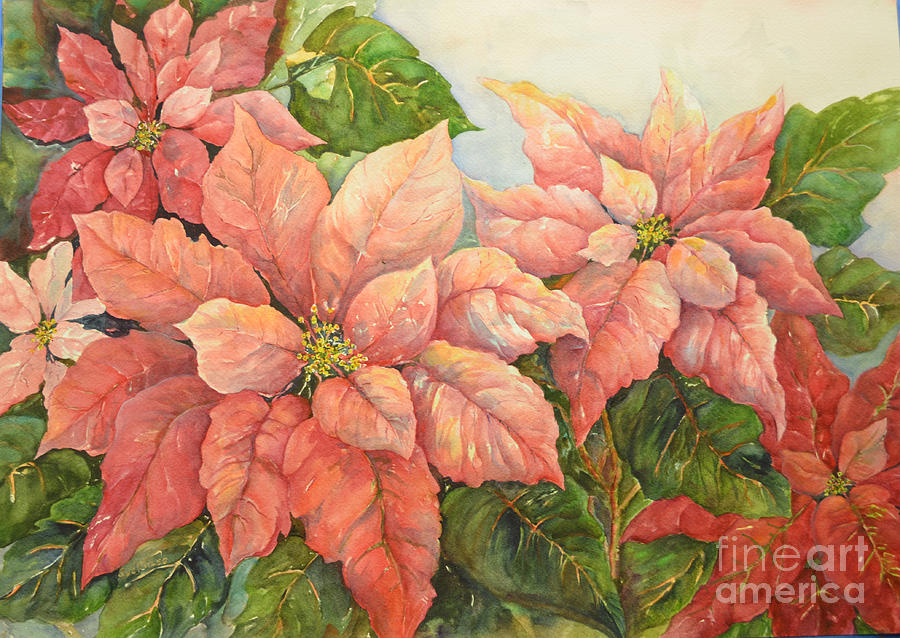 Pink Perfectioin Poinsettias Painting by Sue Blass - Fine Art America