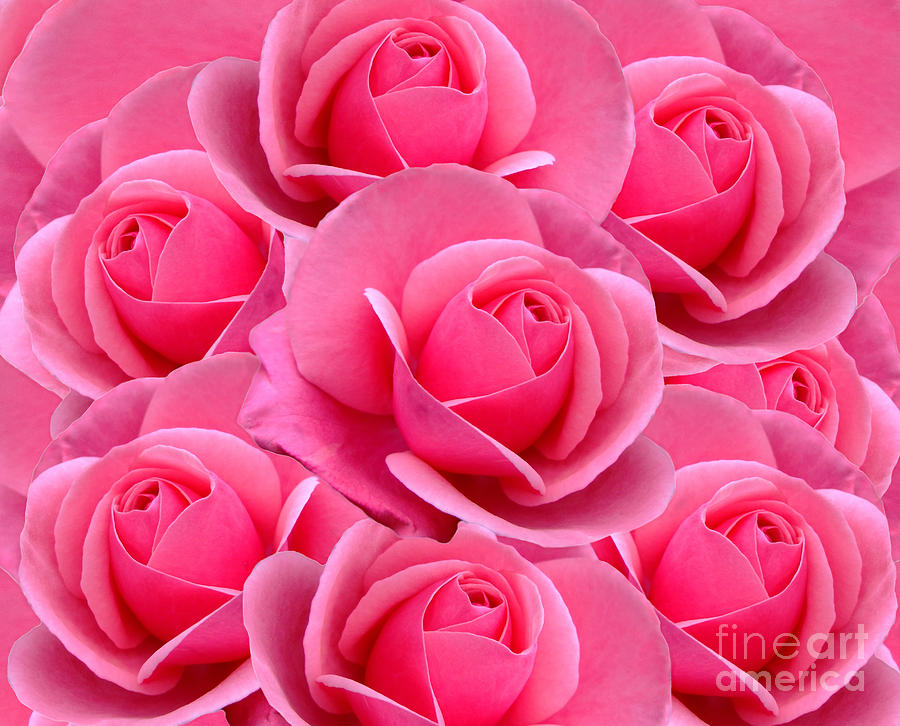 Pink Pink Roses Digital Art by Julia Underwood