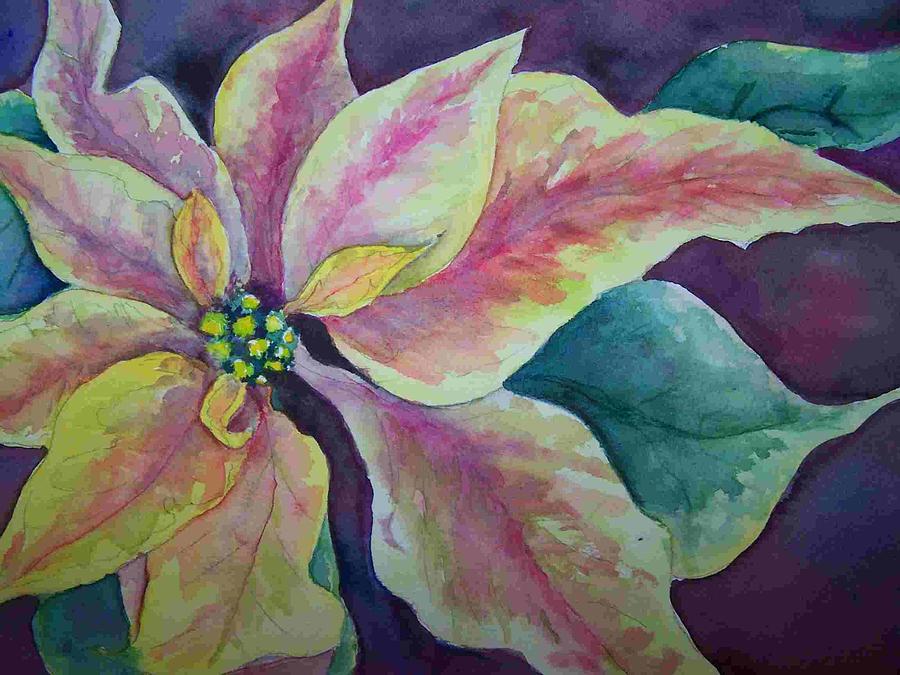 Pink Poinsettia Painting by Sandy Collier
