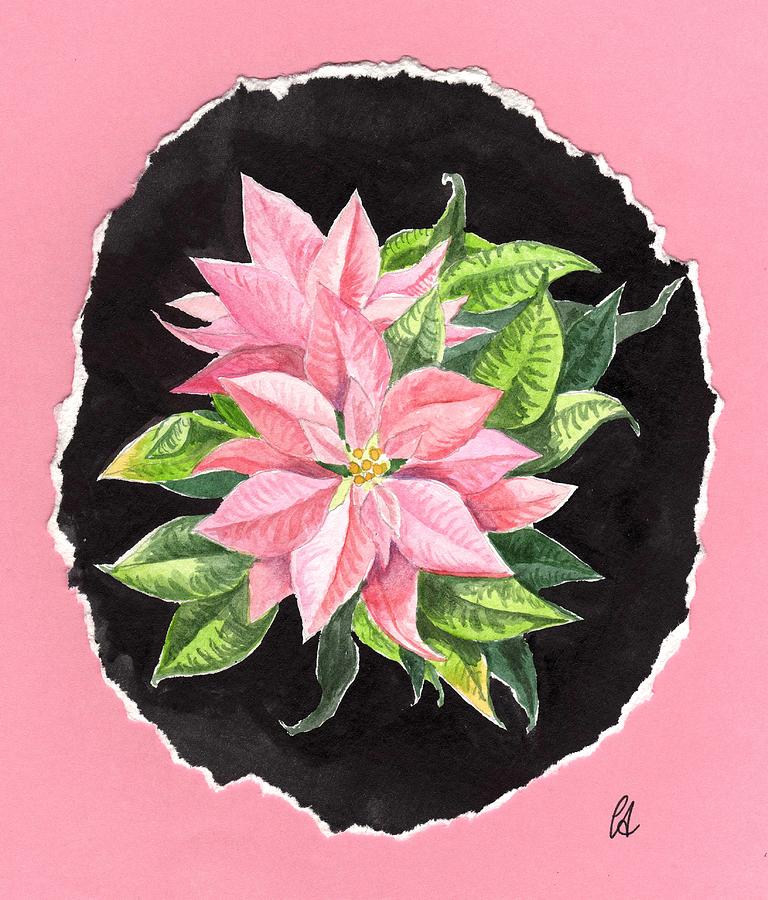 Flower Painting - Pink Poinsettias by Carrie Auwaerter
