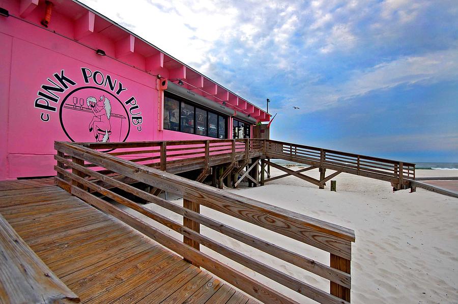 Beach Photograph - Pink Pony by Michael Thomas
